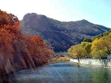 澳门二四六天天彩图库，护花妖道